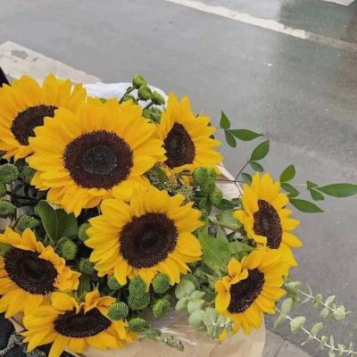 凤凰彩票平台下载app下载