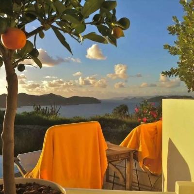 B体育APP官网下载