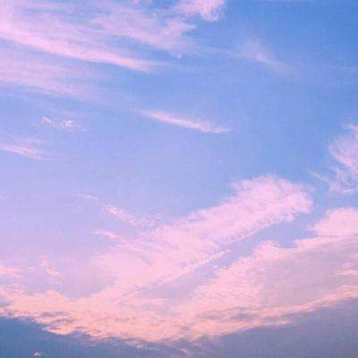 NG体育APP官方下载网址下载手机版