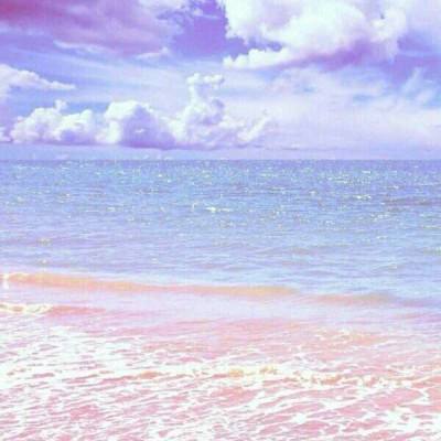 半岛综合娱乐appapp下载