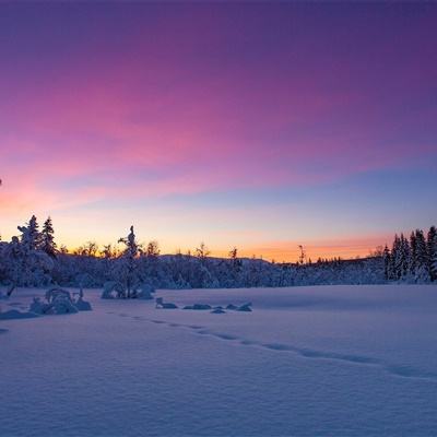 IM体育App下载截图