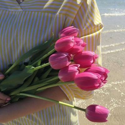 PG·麻将胡了手机app下载