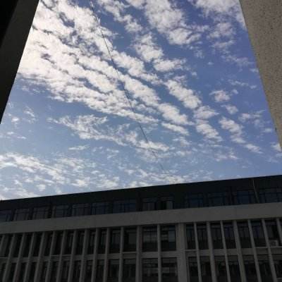 二人麻将app下载